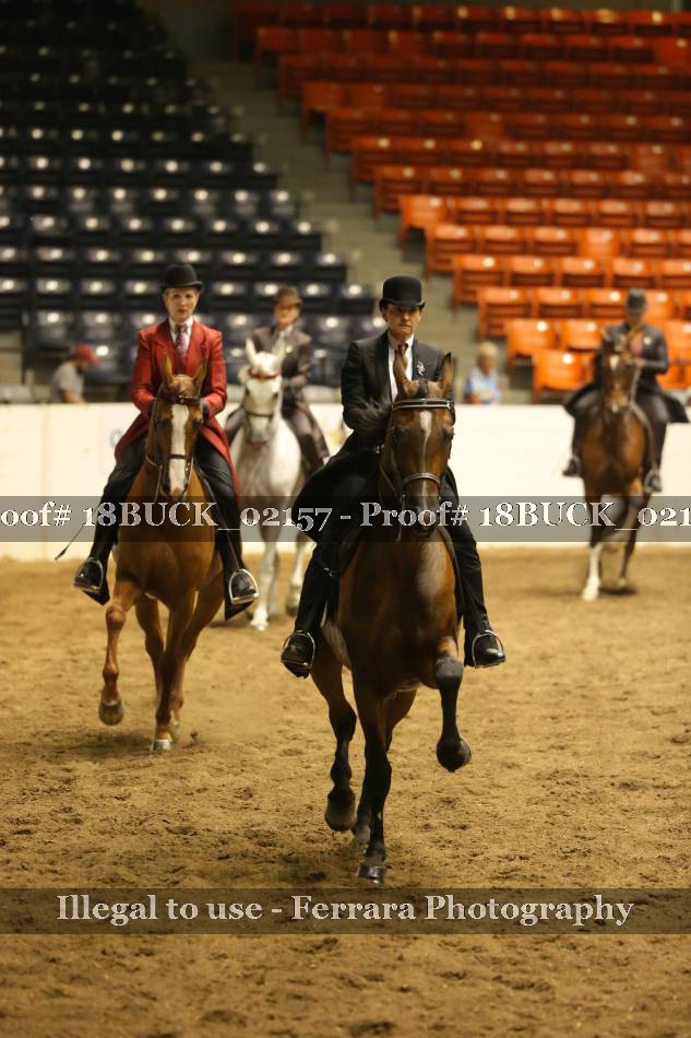 Proof 18BUCK_02157
