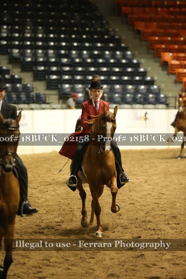 Proof 18BUCK_02158