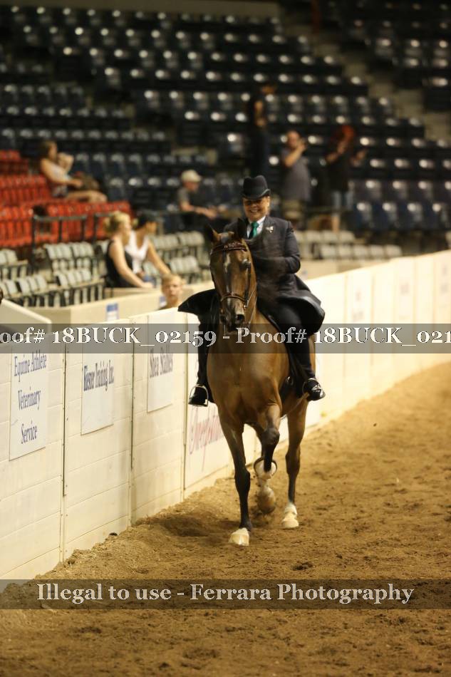 Proof 18BUCK_02159