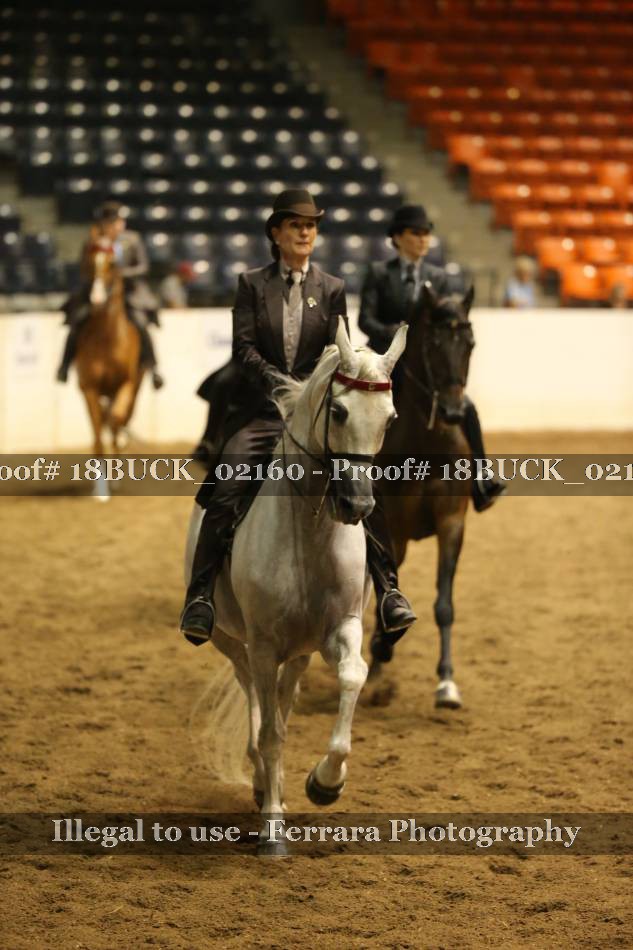 Proof 18BUCK_02160
