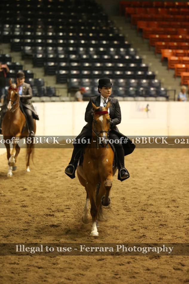 Proof 18BUCK_02161