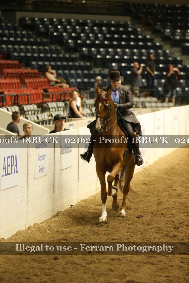 Proof 18BUCK_02162