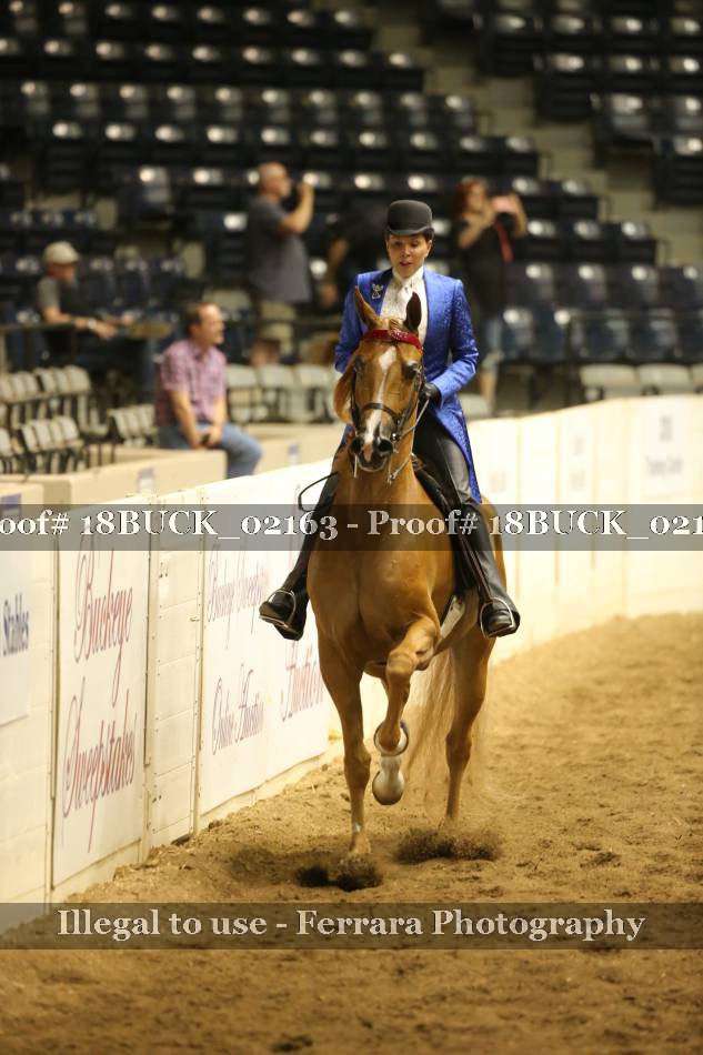 Proof 18BUCK_02163