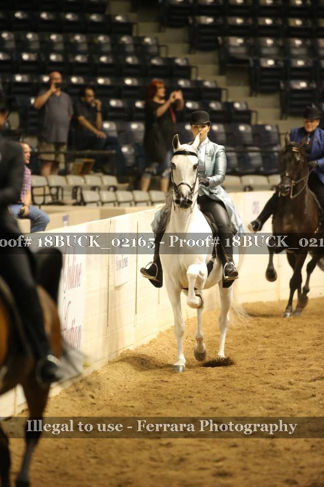 Proof 18BUCK_02165