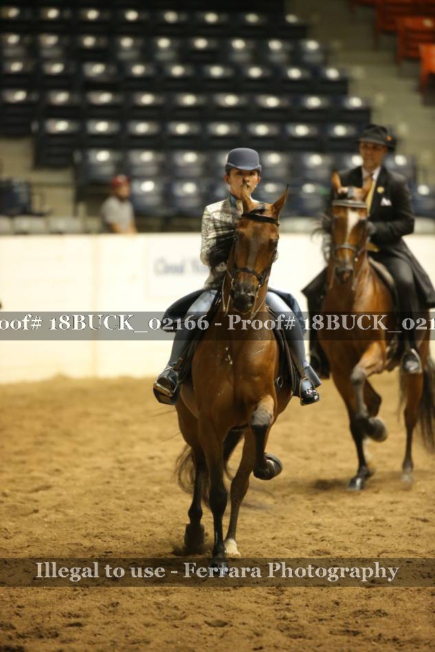 Proof 18BUCK_02166