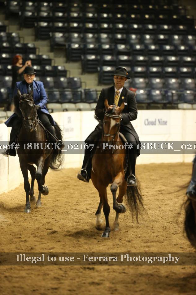 Proof 18BUCK_02167