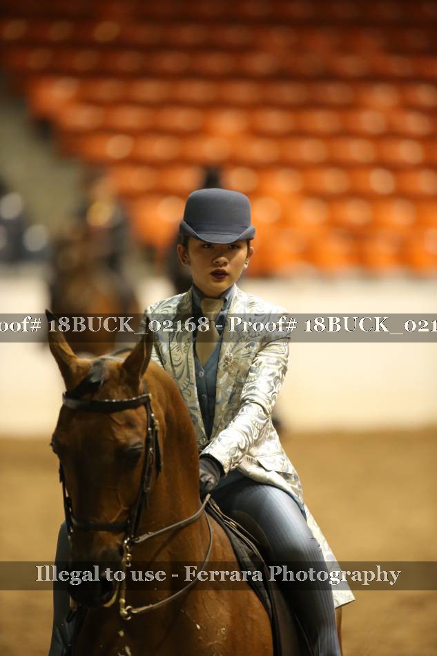 Proof 18BUCK_02168