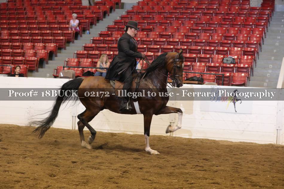 Proof 18BUCK_02172