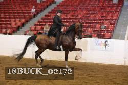 18BUCK_02172 proof