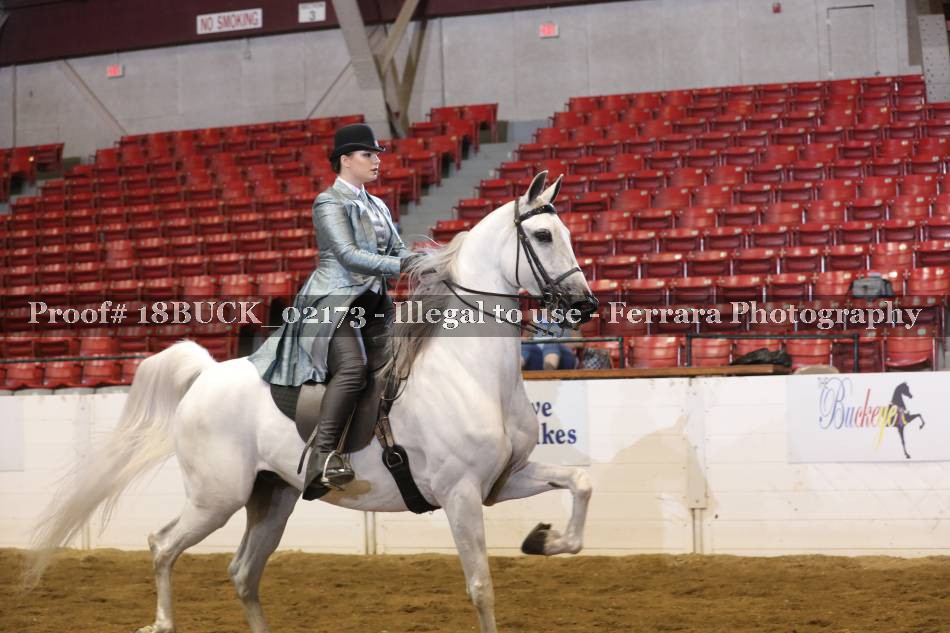 Proof 18BUCK_02173