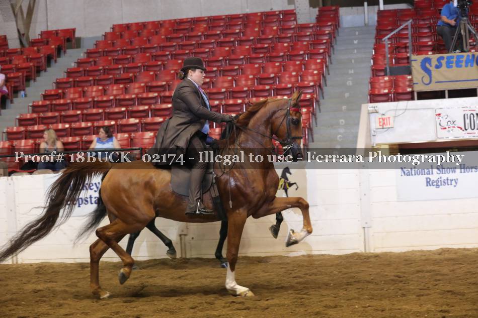 Proof 18BUCK_02174