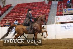18BUCK_02174 proof