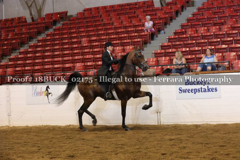 Proof 18BUCK_02175