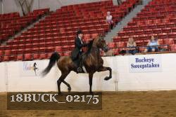18BUCK_02175 proof