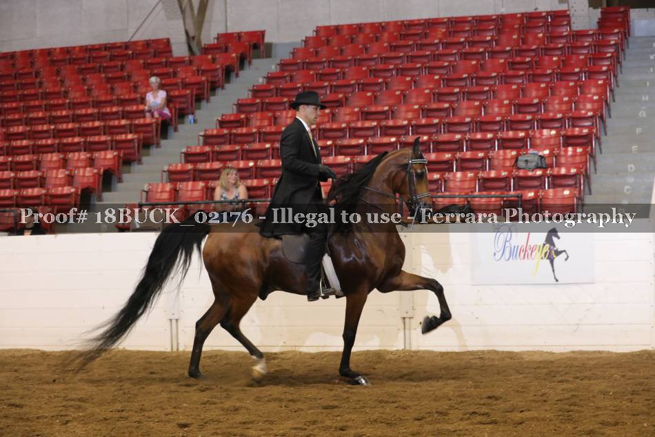 Proof 18BUCK_02176