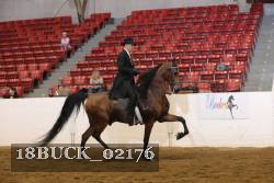 18BUCK_02176 proof