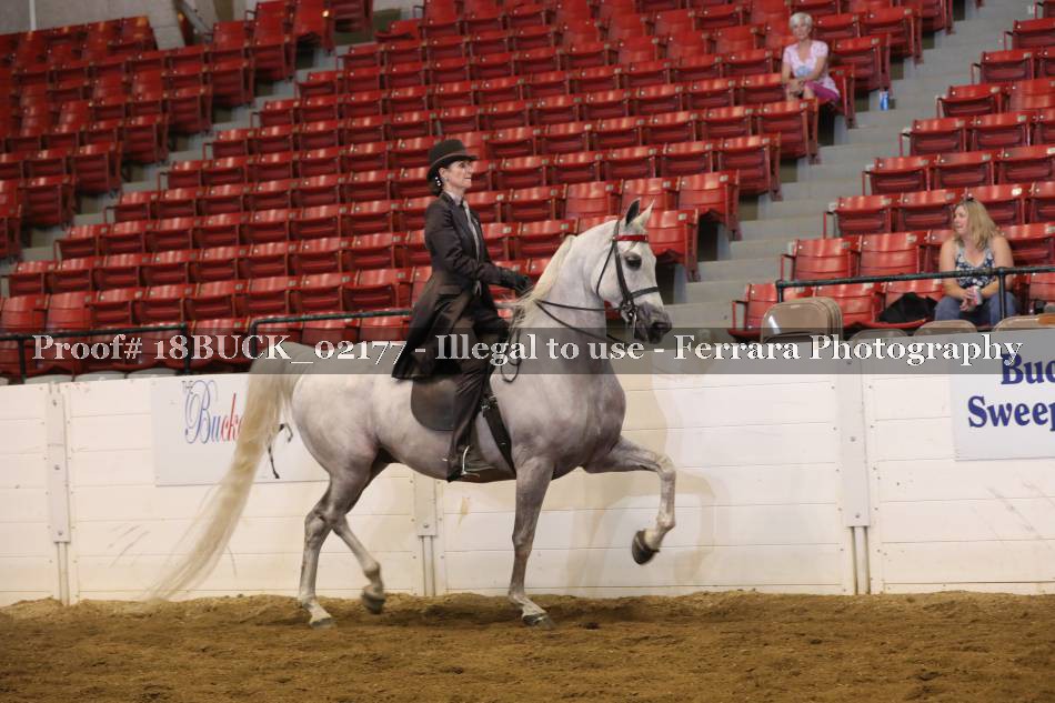Proof 18BUCK_02177