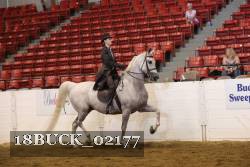 18BUCK_02177 proof
