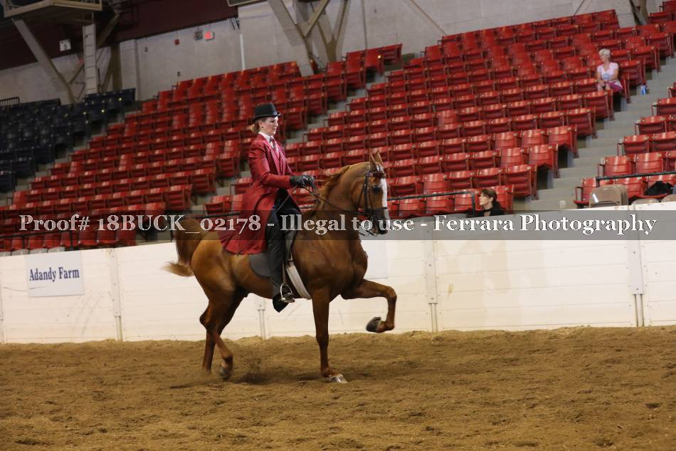 Proof 18BUCK_02178