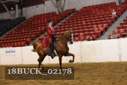 18BUCK_02178 proof