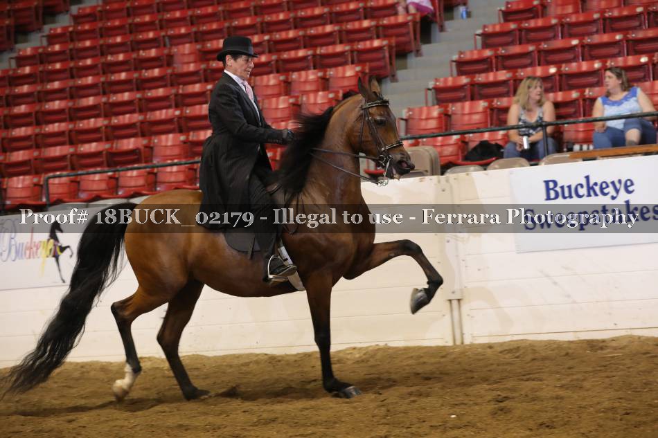 Proof 18BUCK_02179