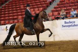 18BUCK_02179 proof