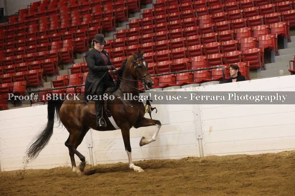Proof 18BUCK_02180