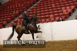 18BUCK_02180 proof