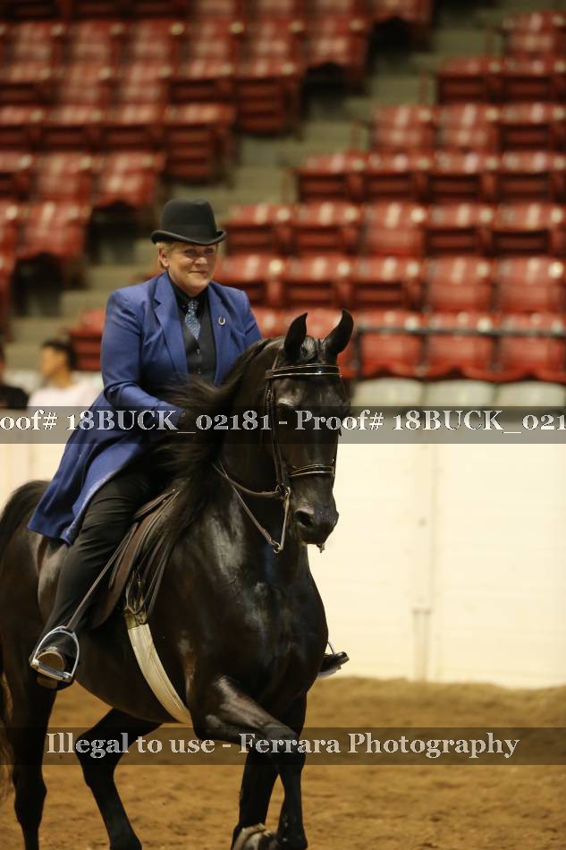 Proof 18BUCK_02181