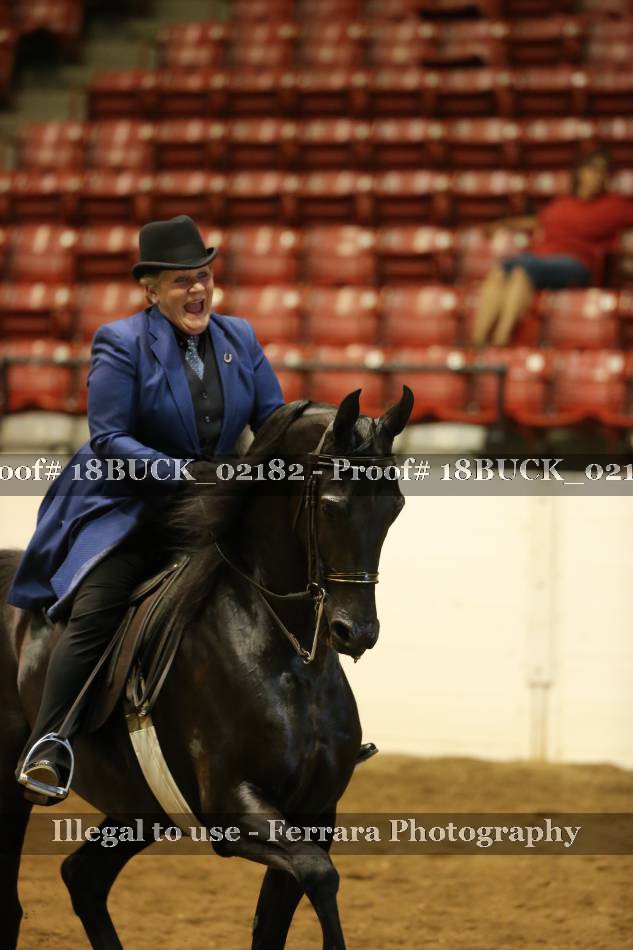 Proof 18BUCK_02182