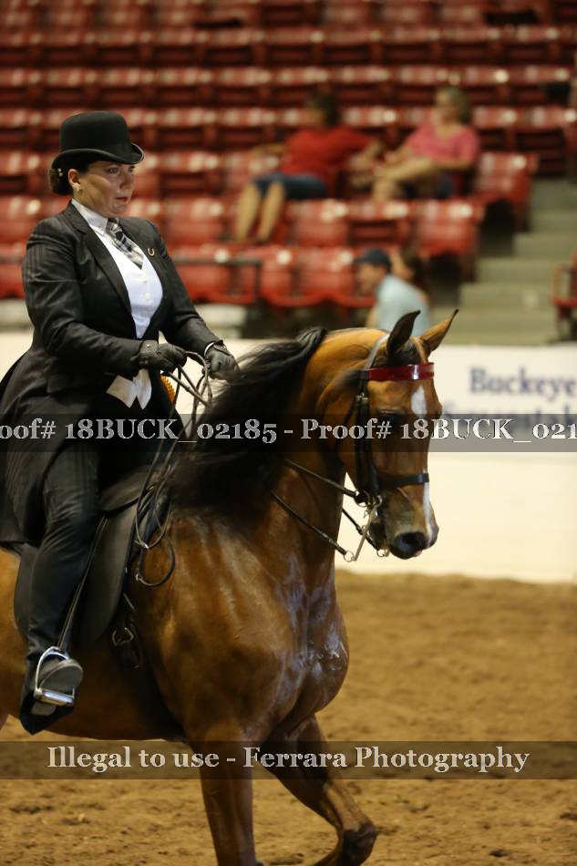 Proof 18BUCK_02185