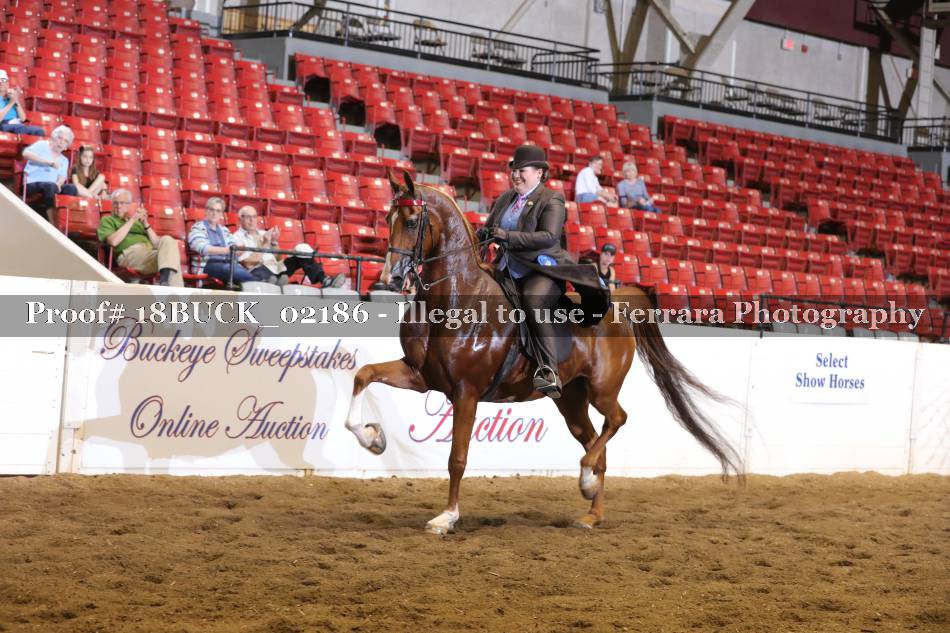 Proof 18BUCK_02186