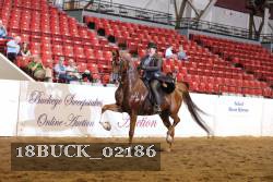 18BUCK_02186 proof