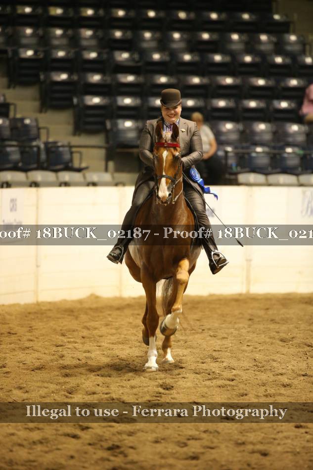 Proof 18BUCK_02187