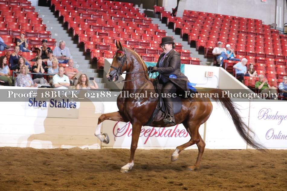 Proof 18BUCK_02188