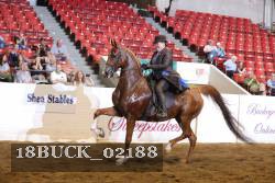 18BUCK_02188 proof
