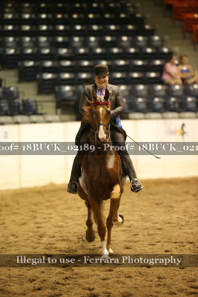 Proof 18BUCK_02189