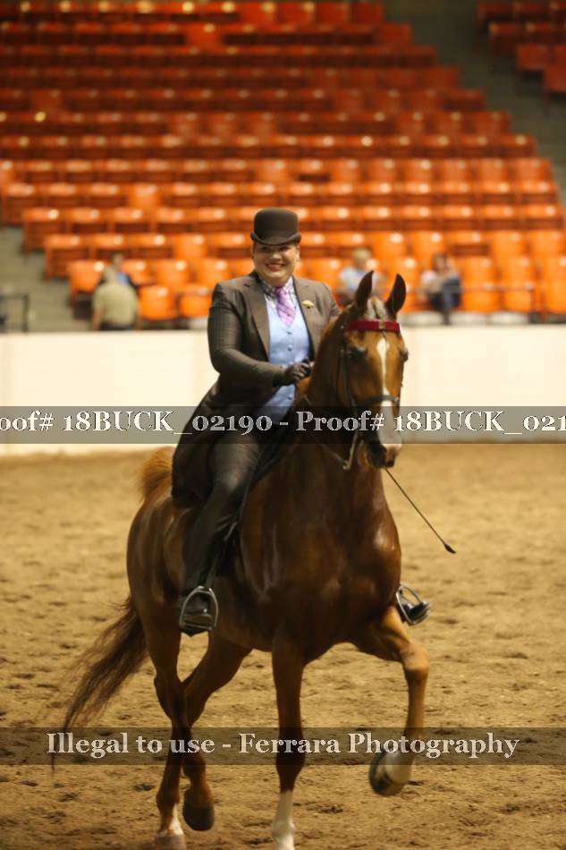 Proof 18BUCK_02190