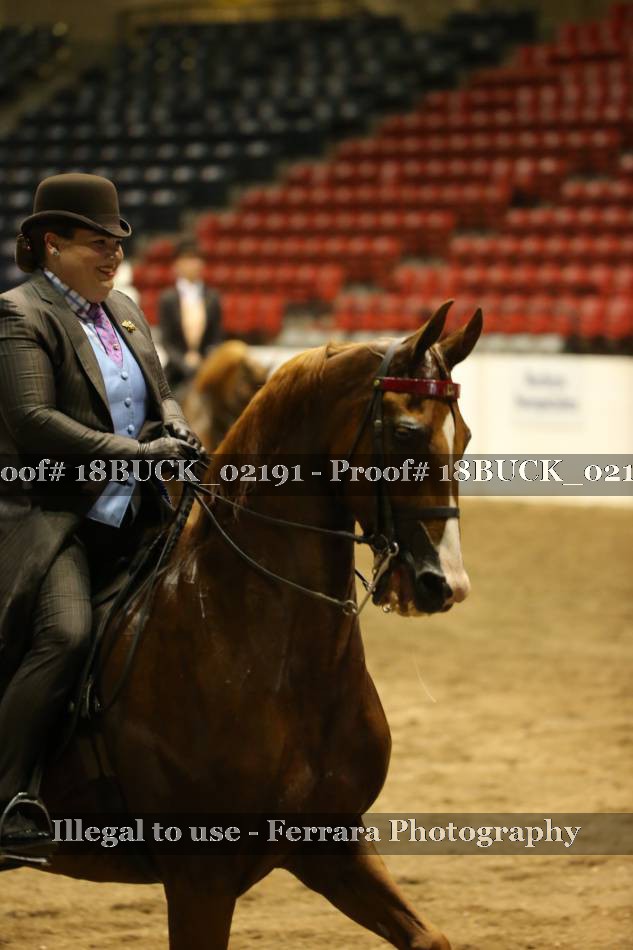 Proof 18BUCK_02191