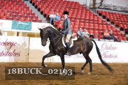 18BUCK_02193 proof