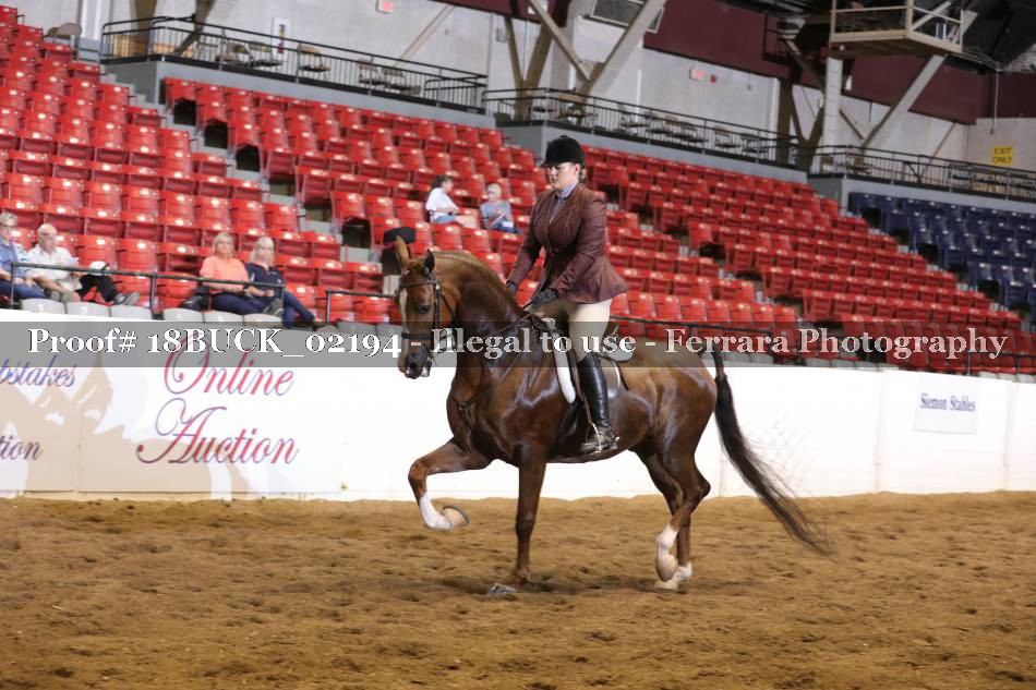 Proof 18BUCK_02194