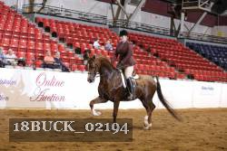 18BUCK_02194 proof