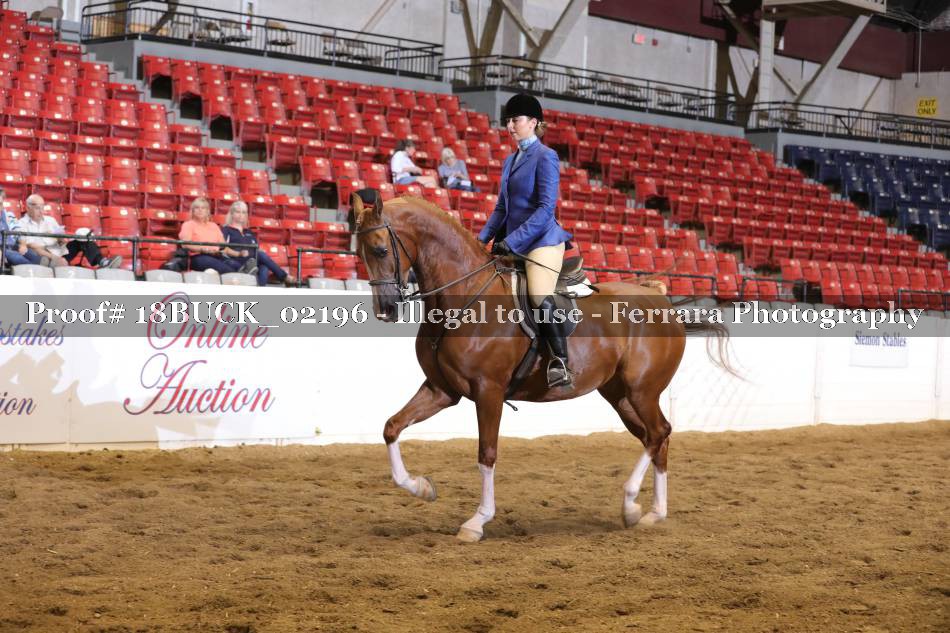 Proof 18BUCK_02196