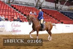 18BUCK_02196 proof