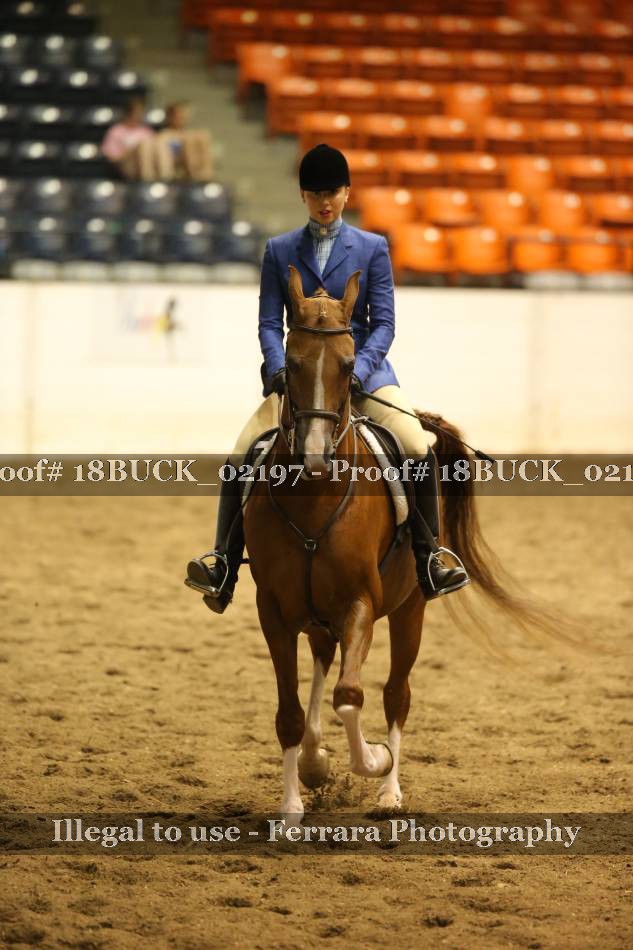 Proof 18BUCK_02197