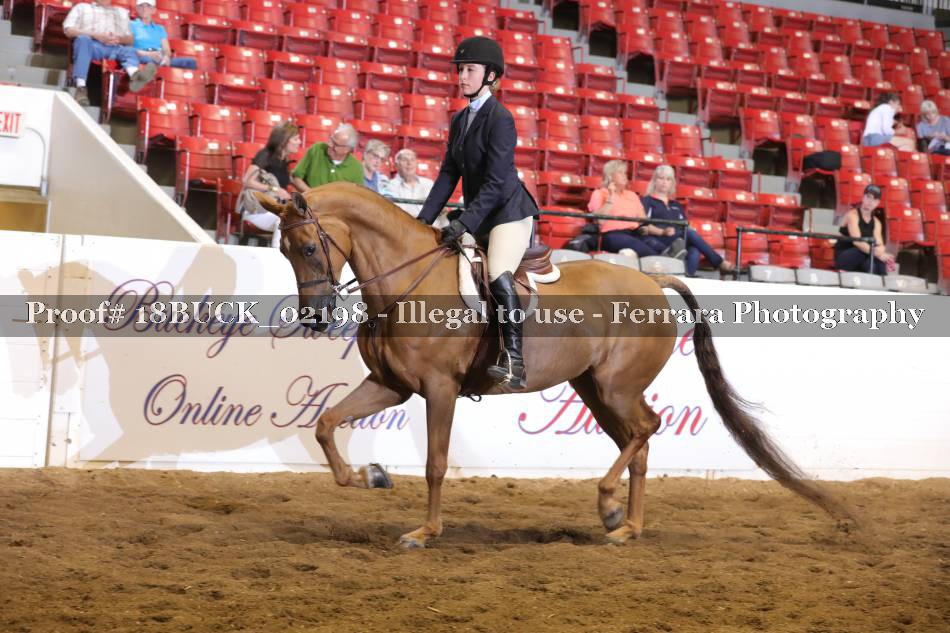 Proof 18BUCK_02198