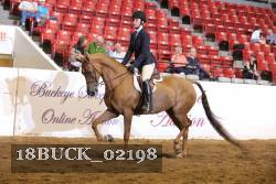 18BUCK_02198 proof