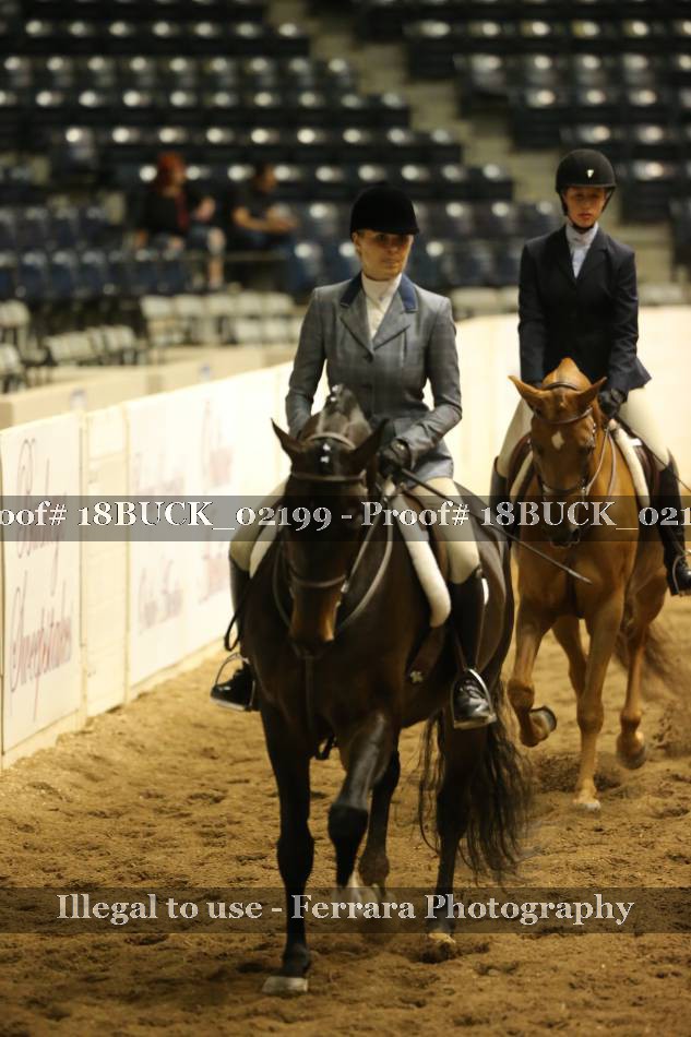 Proof 18BUCK_02199