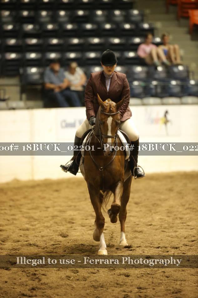 Proof 18BUCK_02201