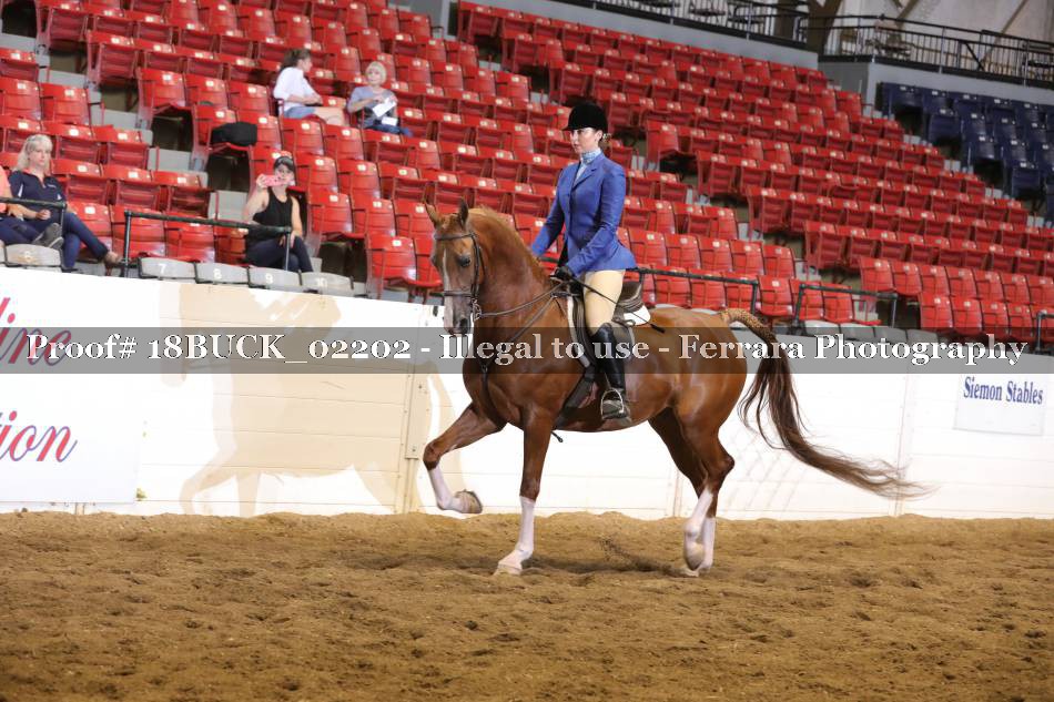 Proof 18BUCK_02202